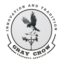 Web Development Company In UK